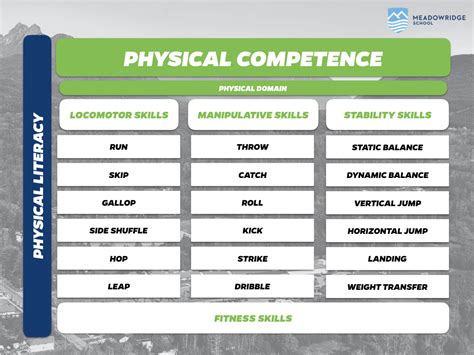 Professional competence(s) of physical education teachers: terms .